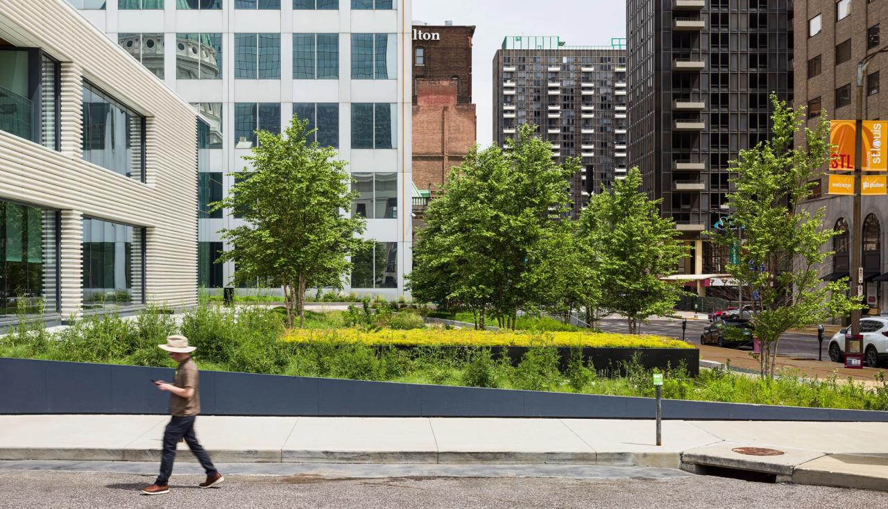 Person wearing a hat crosses chestnut street, with a patch of greenery behind them. Located on the south side of 100 n broadway project by arbolope studio in st louis missouri