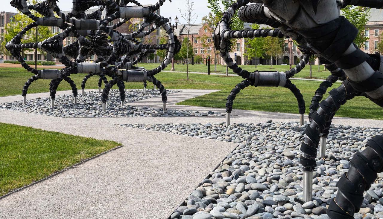 Photo through the art on campus sculpture called shaved portions located at washington university st louis missouri, arbolope studio.