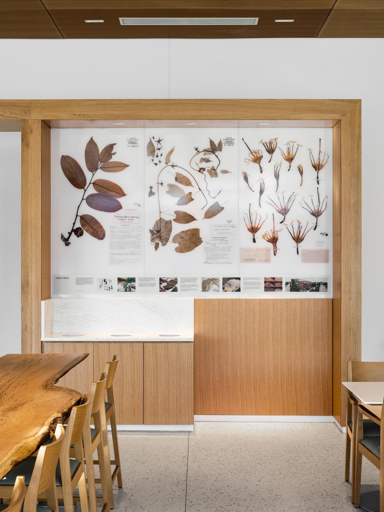 Plant Specimen Wall Panels — 04491