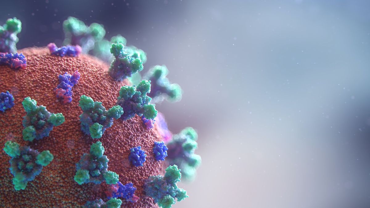 Photo by Fusion Medical Animation