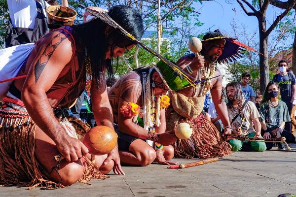 Pandemia e os povos originários no Brasil: resistência e sobrevivência