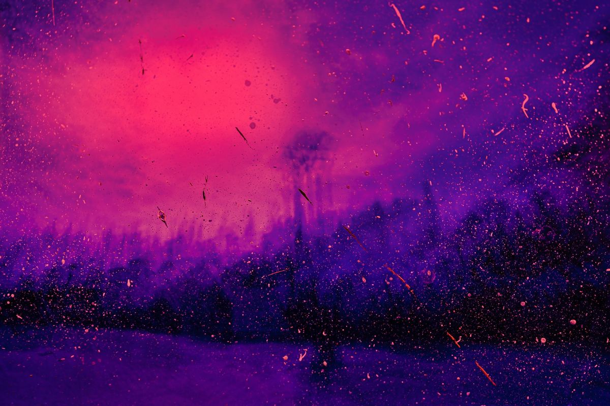 Using psychedelics to treat veterans' PTSD