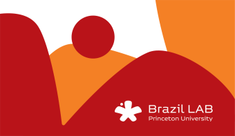 A Pandemic of Inequality: Critical Perspectives from Brazil and the US