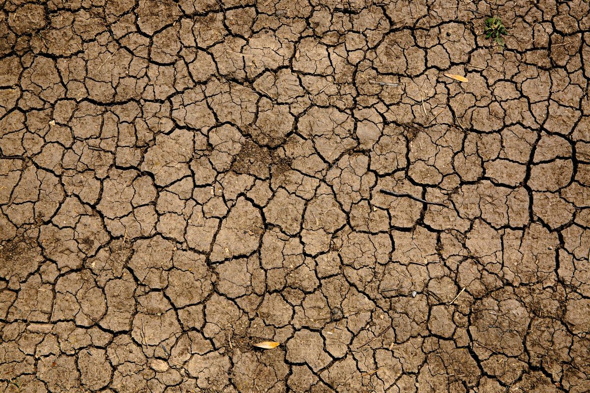 Ações para o clima na COP26 podem salvar milhões de vidas, diz OMS