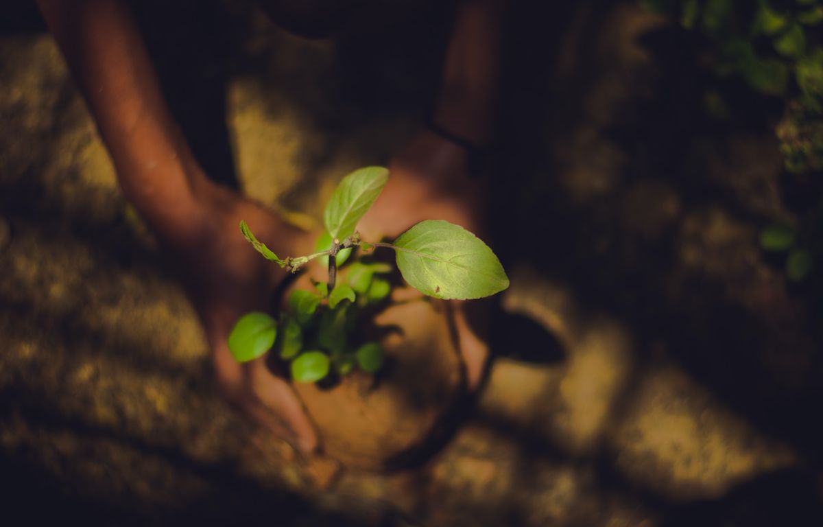 Como aumentar a produção de alimentos sem prejudicar a natureza e a saúde?