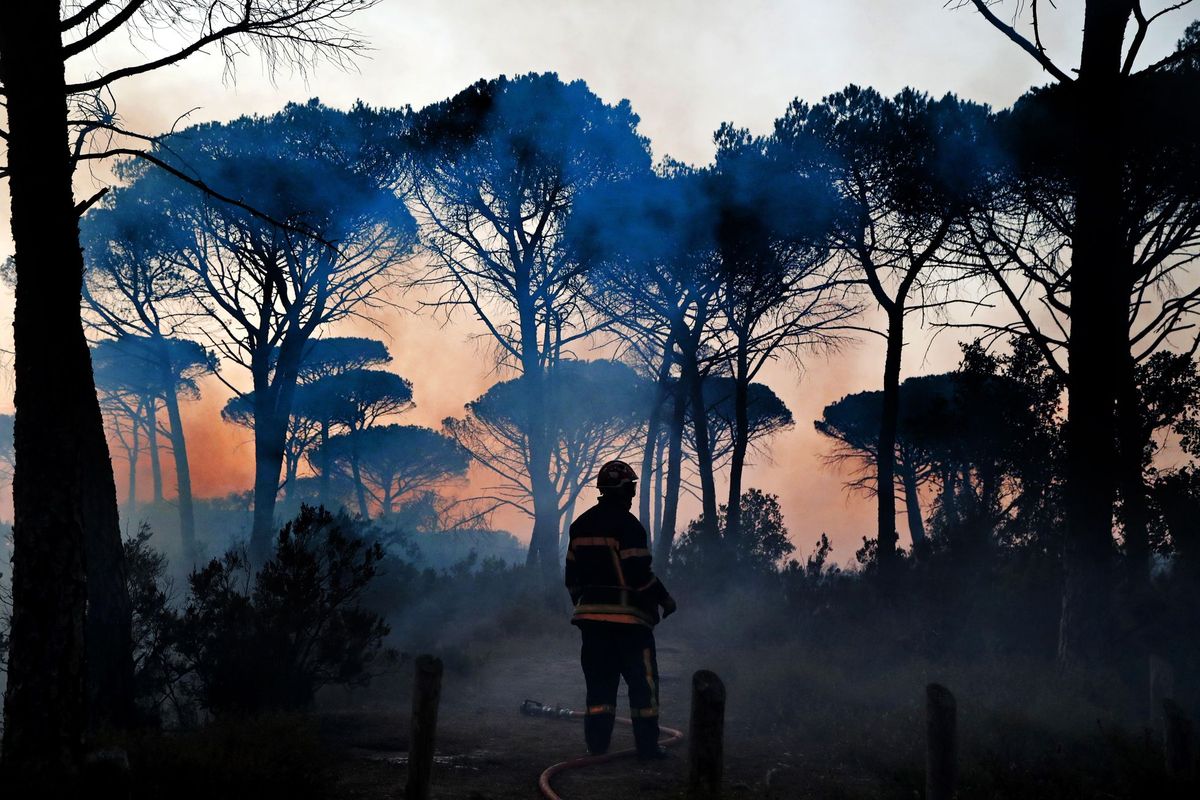 Agressão ao planeta aumentou risco de pandemias nas últimas cinco décadas