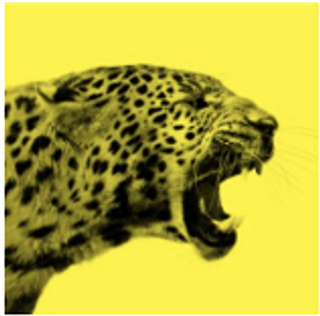 Locarno festival