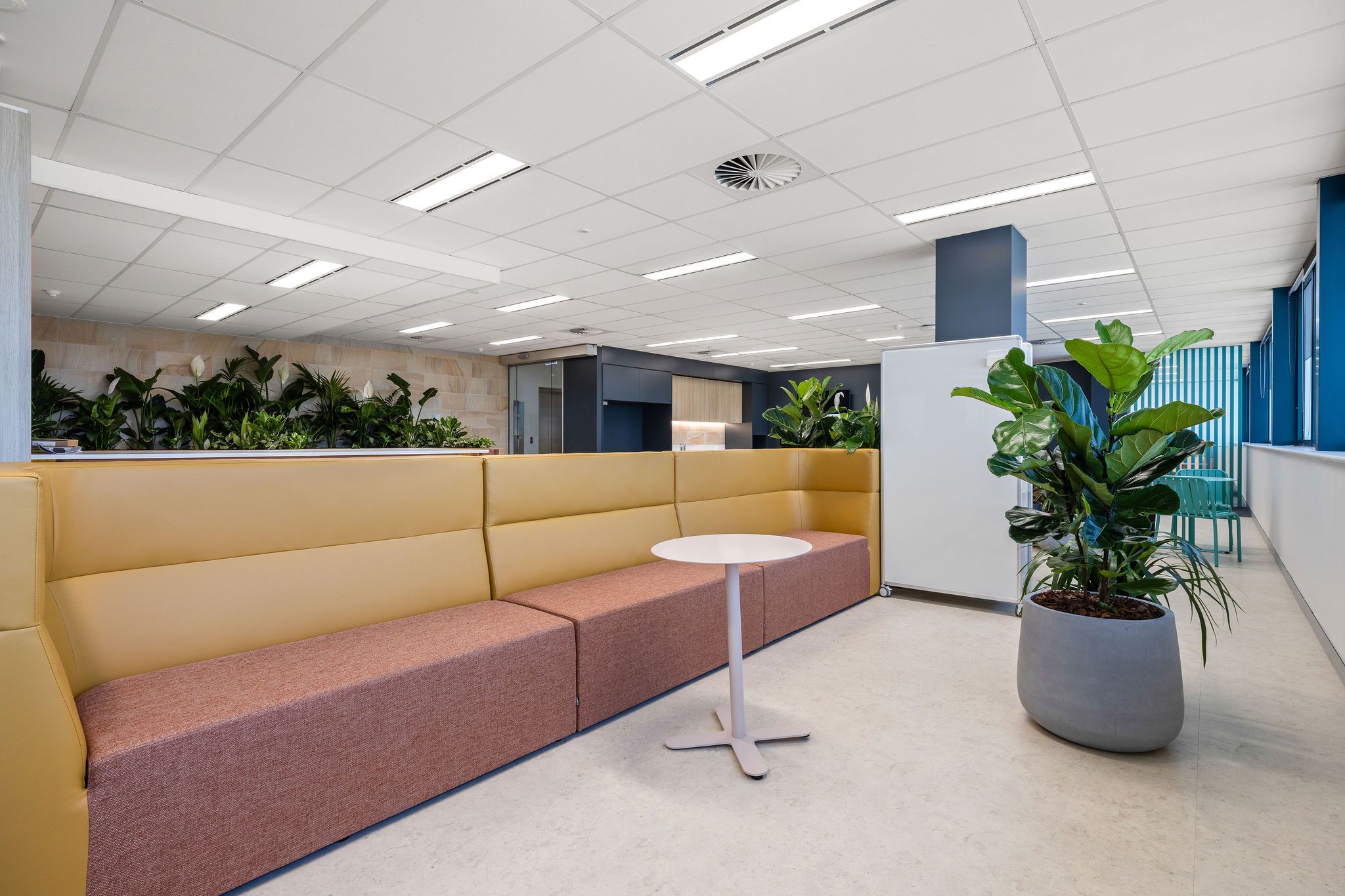 City of Gold Coast, furniture by Burgtec