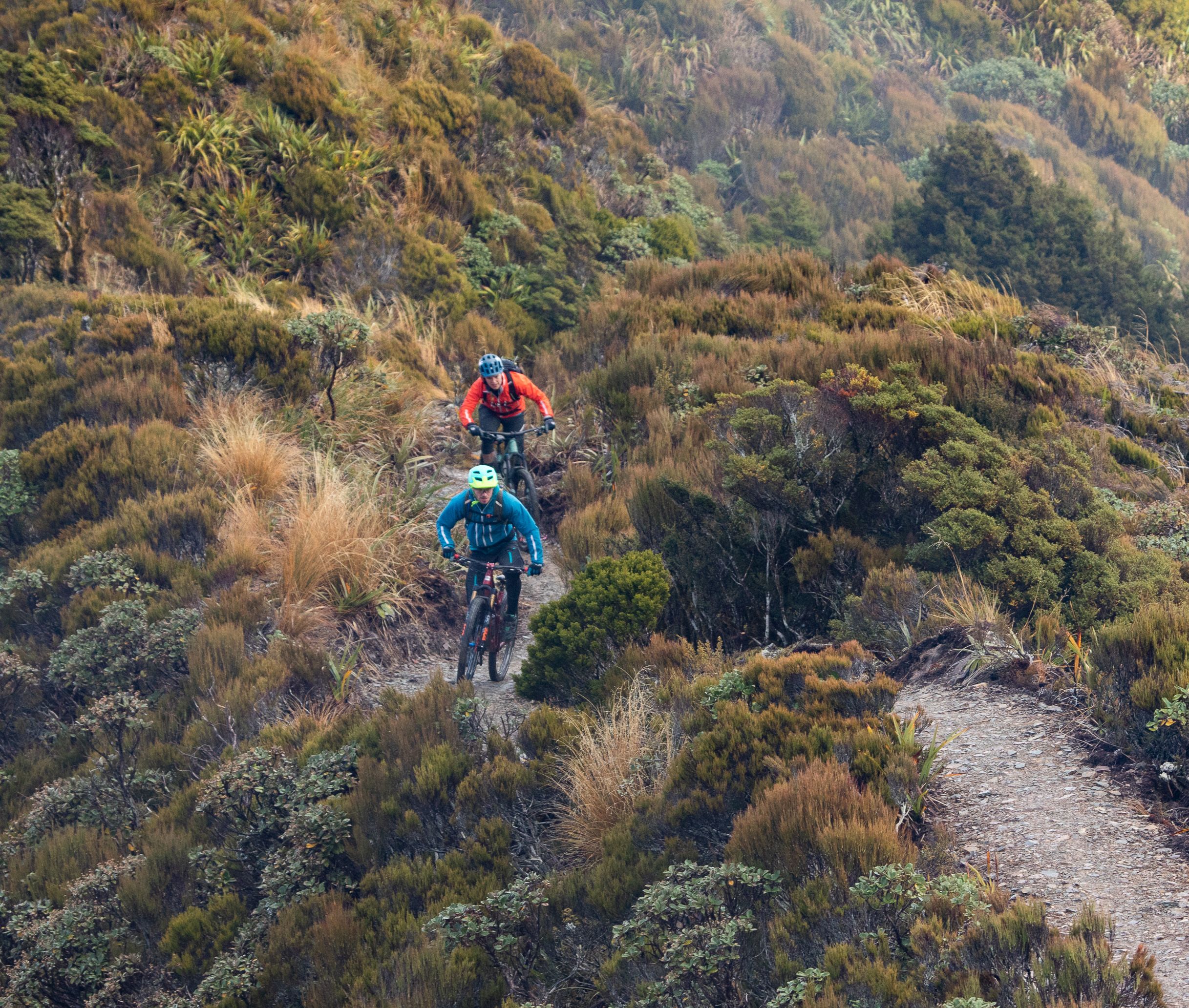 Paparoa Biking & Trail Lodge