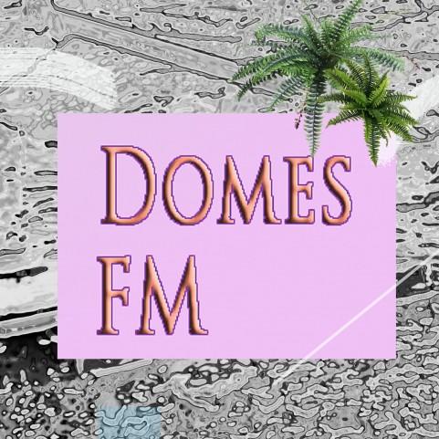 Domes 2