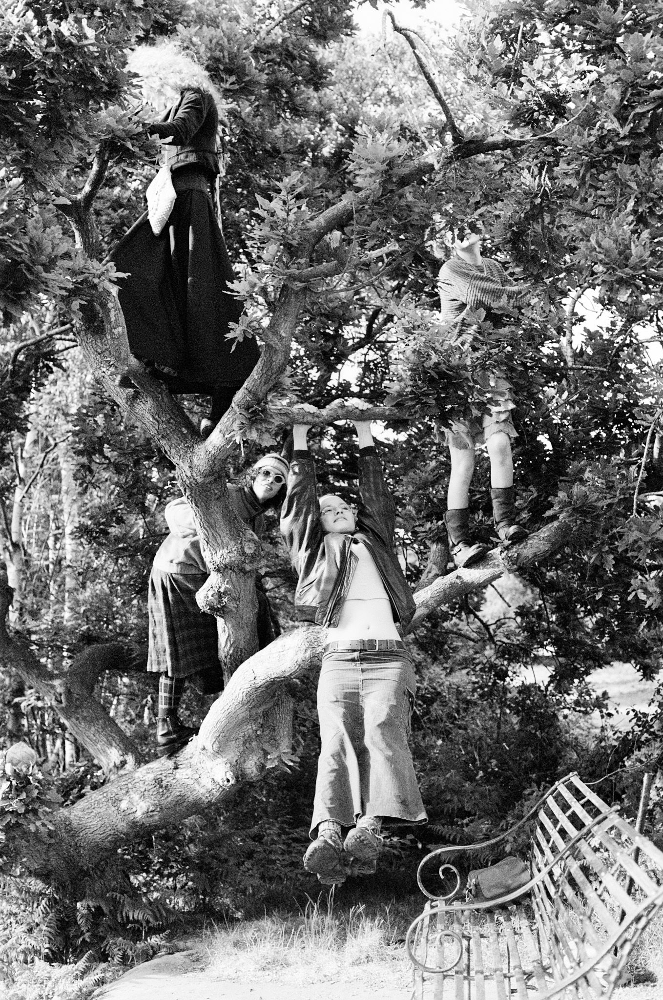 multiple people climbing a tree, one swinging at the bottom