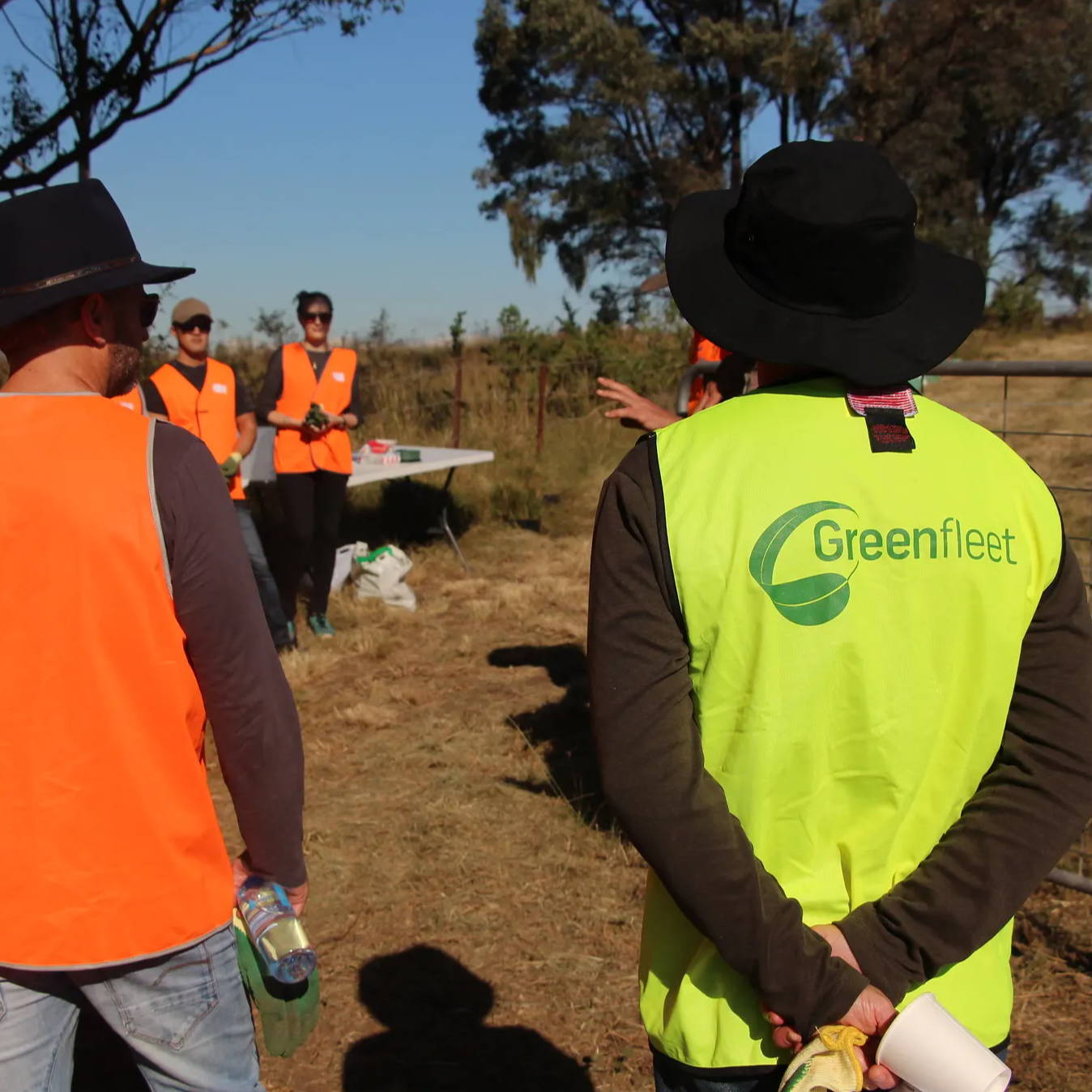 Greenfleet planting trees to offset carbon footprints.