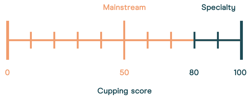 Tarrazu score card 3