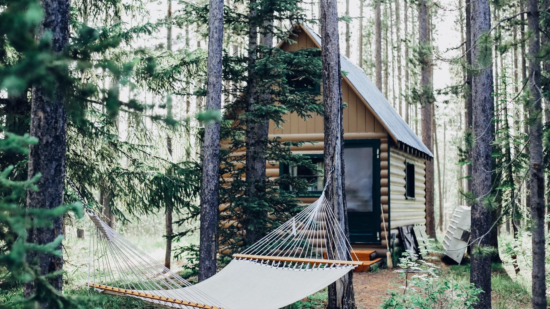 Lodge in forest with hammock in trees in the front