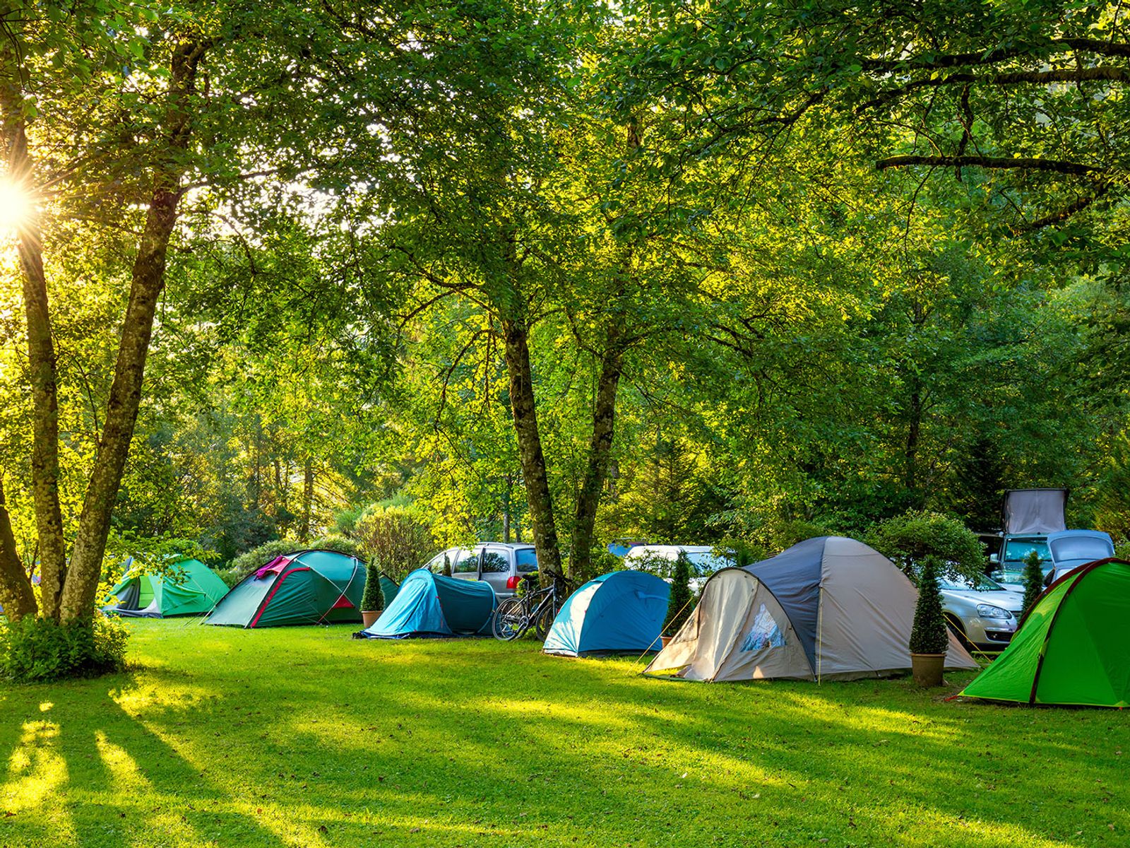 Campsite of tents in forest with sunlight coming through the trees