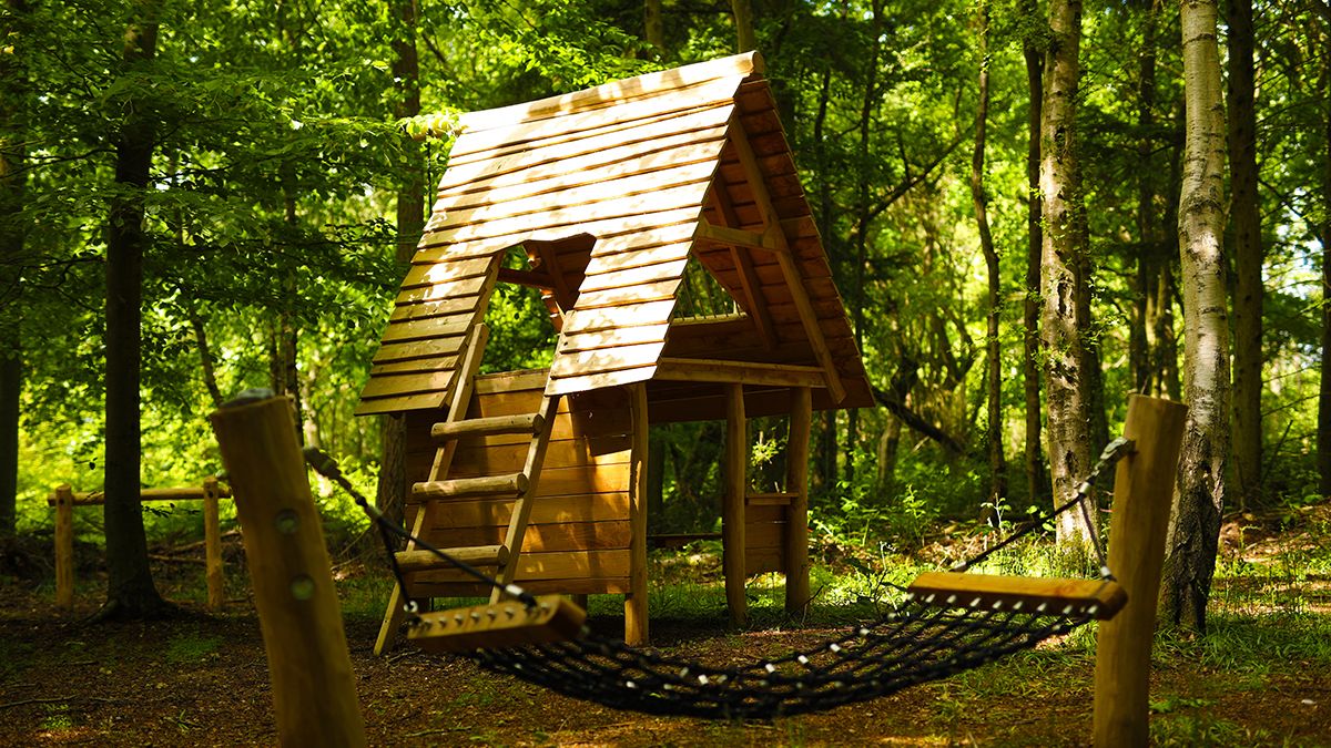 Photograph of a treehouse in the forest at Wyvernwood visitor attraction.  Photo credit: www.wyvernwood.co.uk