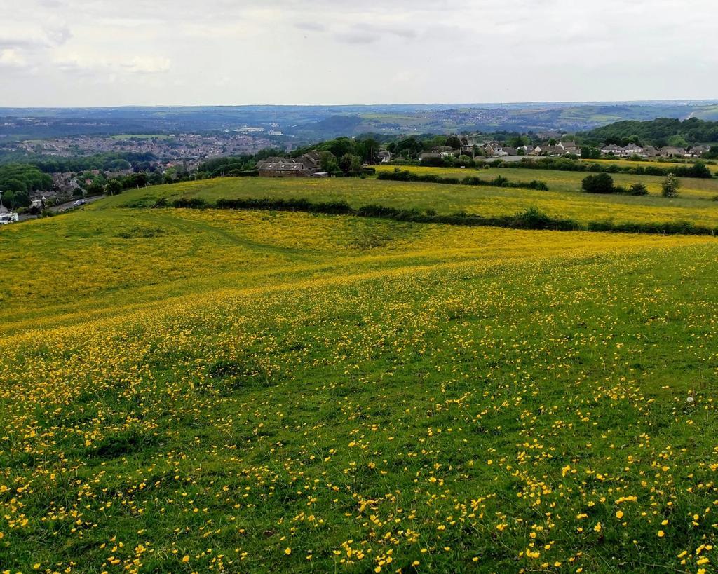 Rural housing development – placemaking or place-breaking? - Rural ...