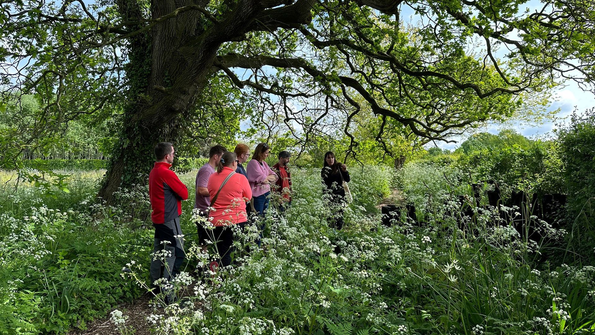 team photo in a wild garden