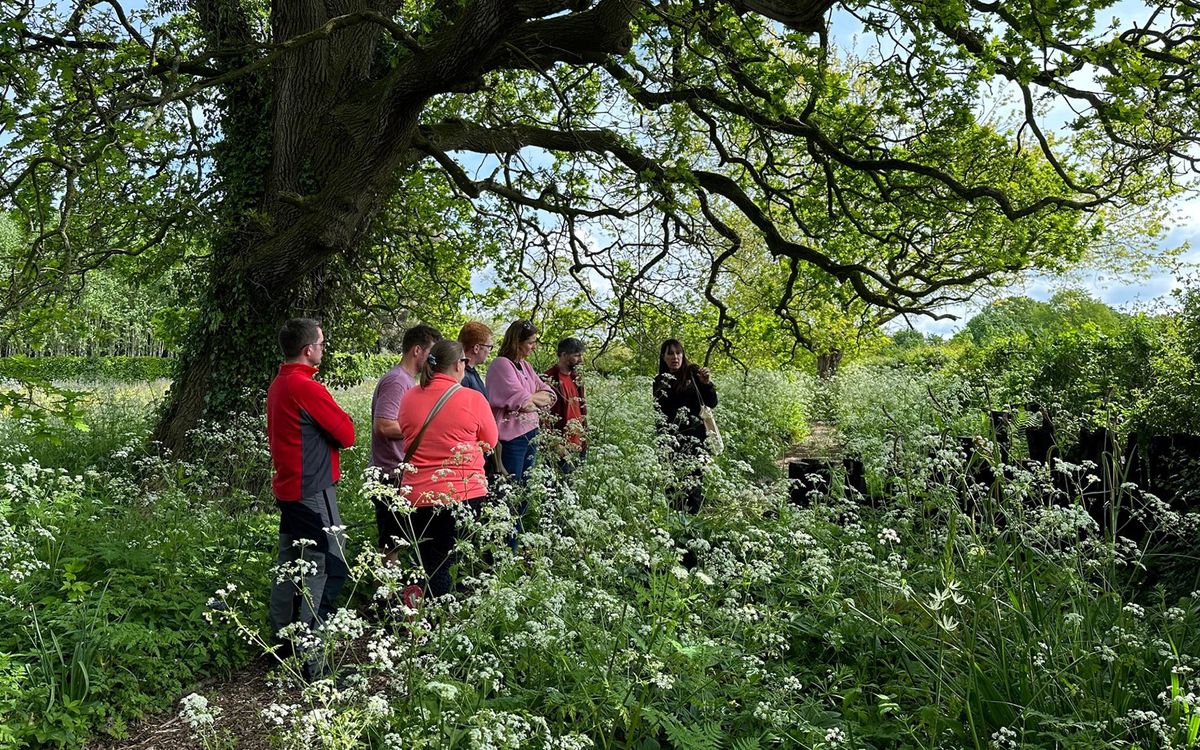team photo in a wild garden