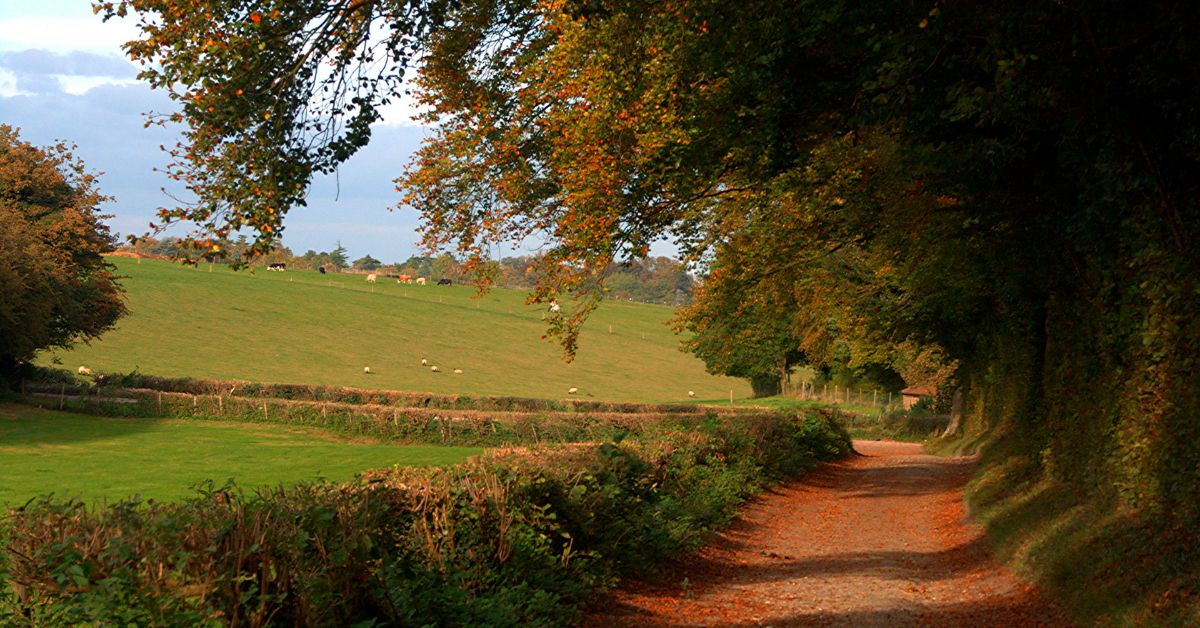 Land management planning Rural Planning & Diversification Experts