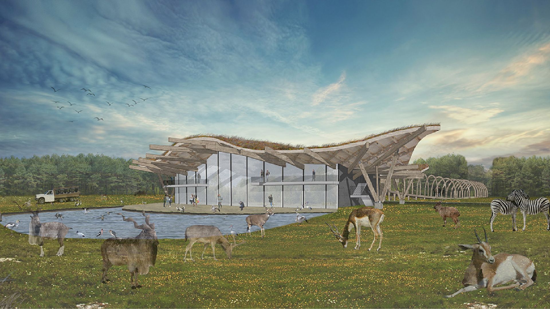 Drawing of unusual visitor lodge in safari park with curved roof