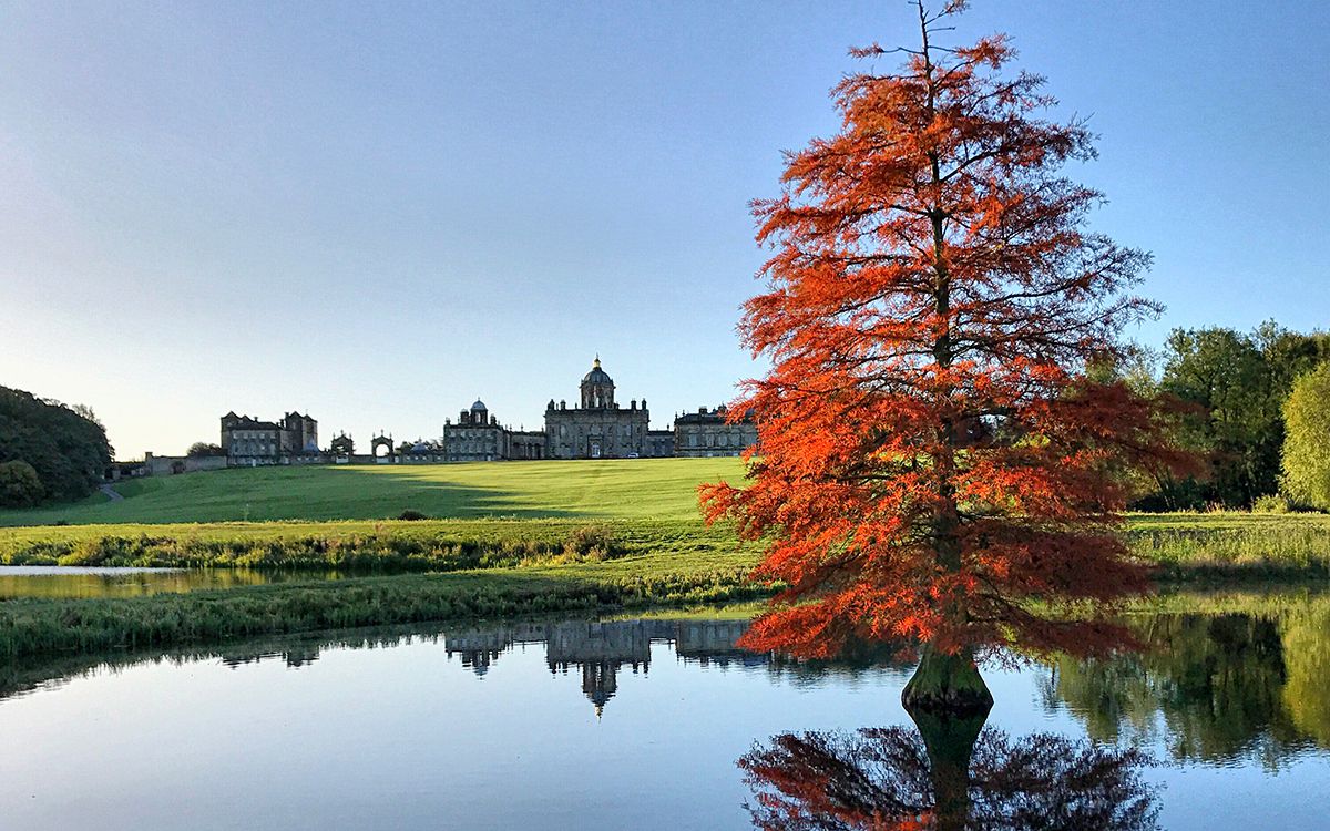 A view towards Castle Howard looking over a lake past a tree with orange leaves in Autumn