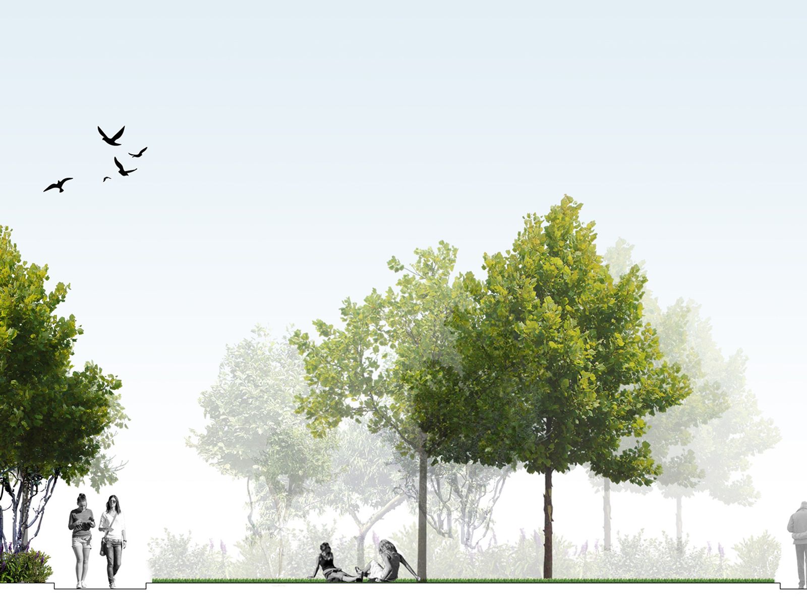 CAD drawing with trees and people in a park