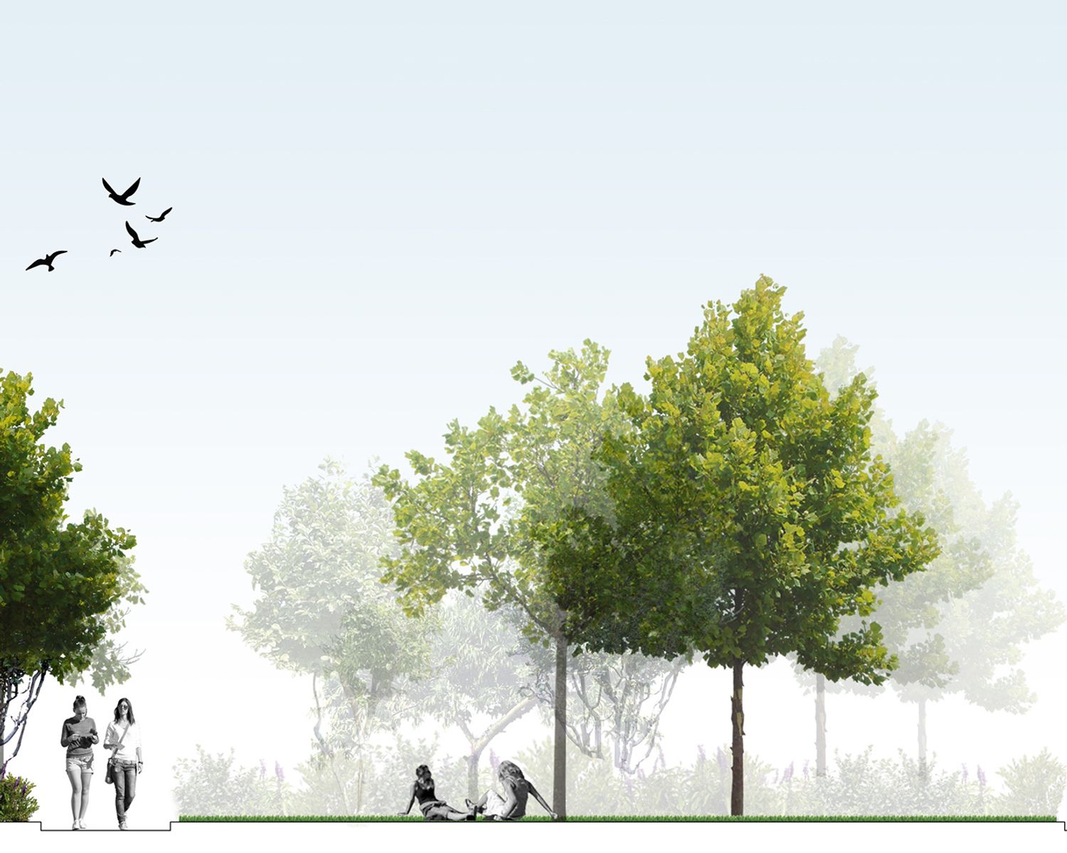 CAD drawing with trees and people in a park