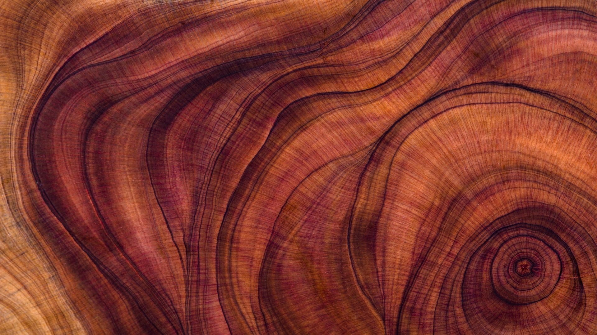 wood texture panel