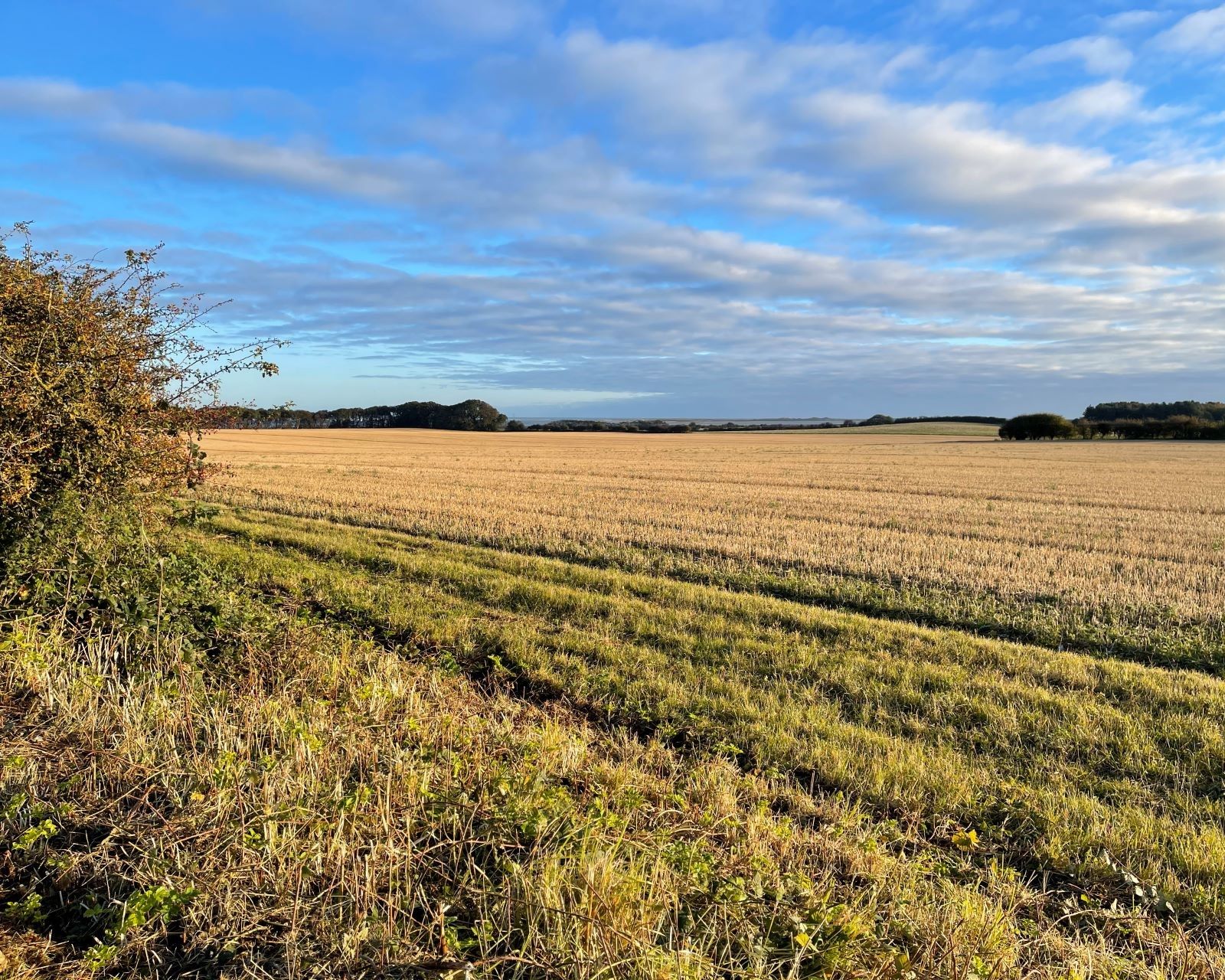 Norfolk Local Plans Bulletin Rural Planning & Diversification Experts