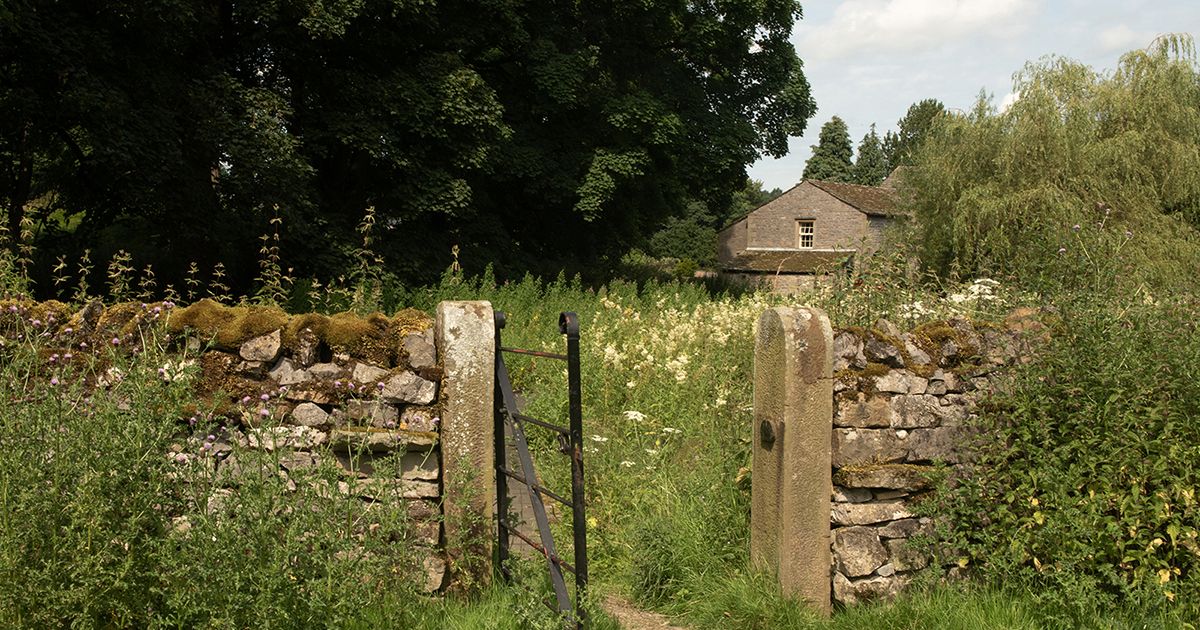 Webinar – a rural roundup - Rural Planning & Diversification Experts