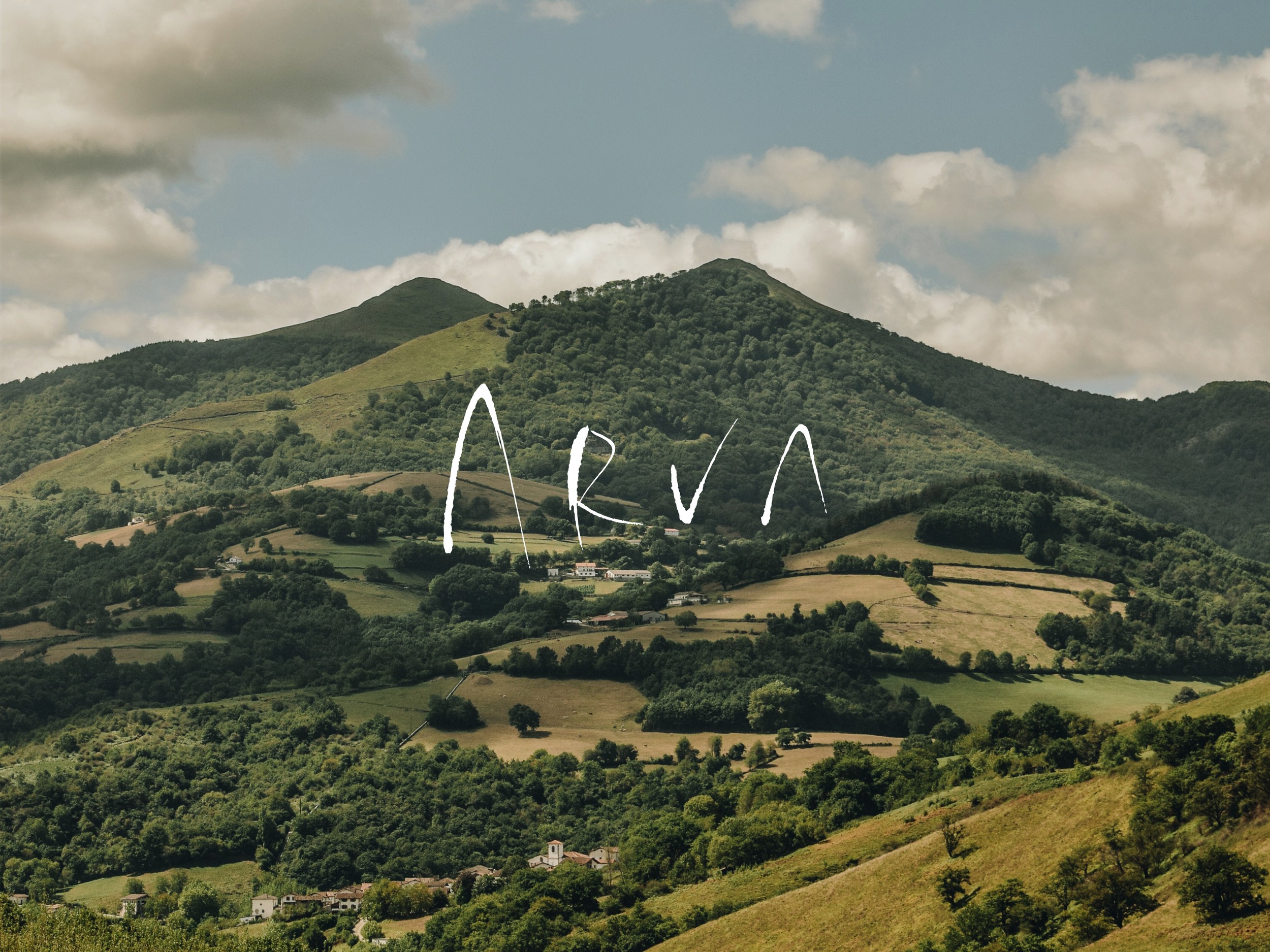 Arva brand identity development