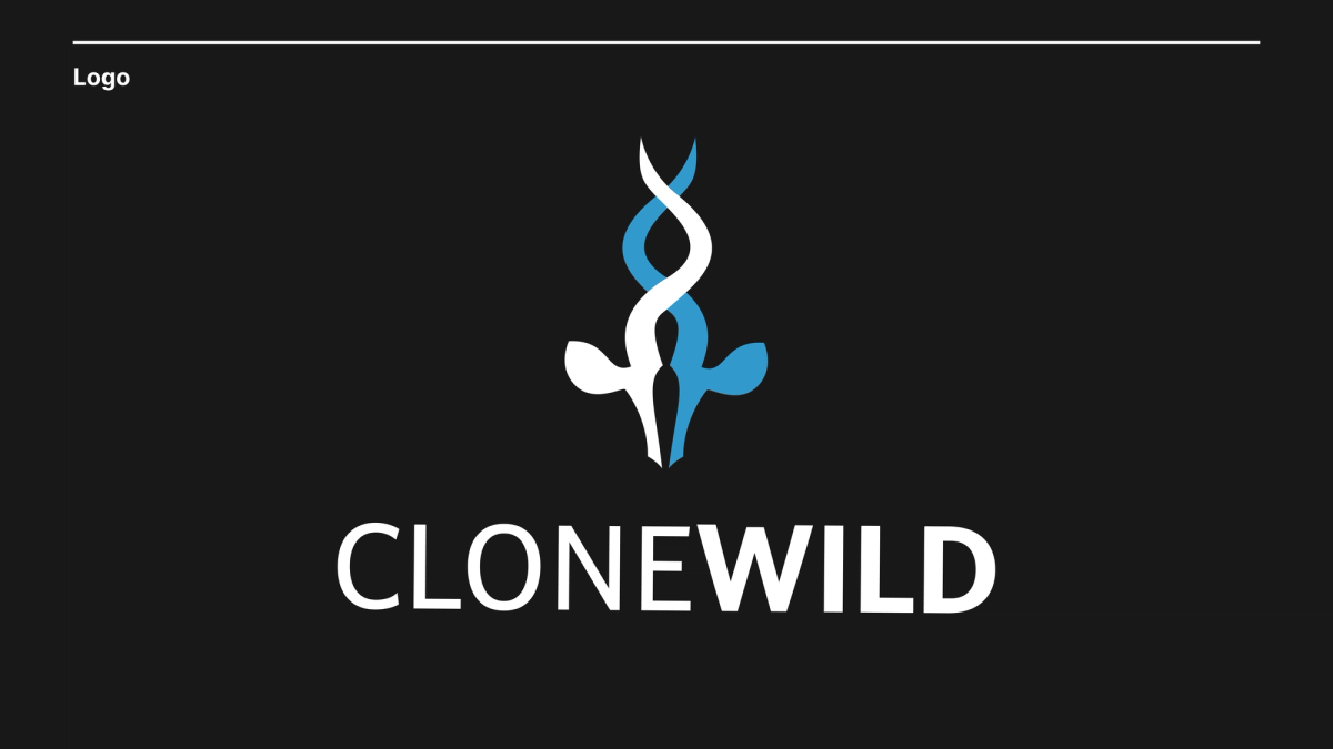 CloneWild — UI/UX work