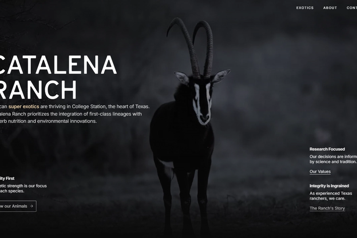 Catalena Ranch cover