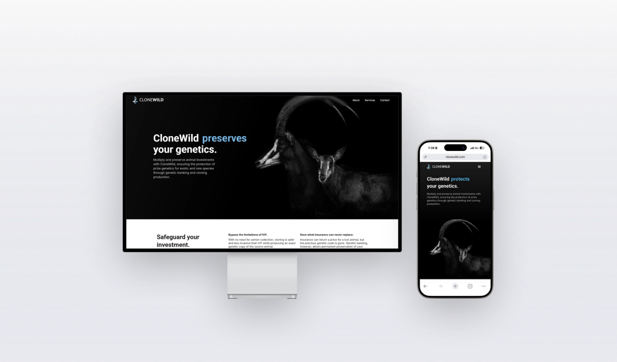 CloneWild — UI/UX work