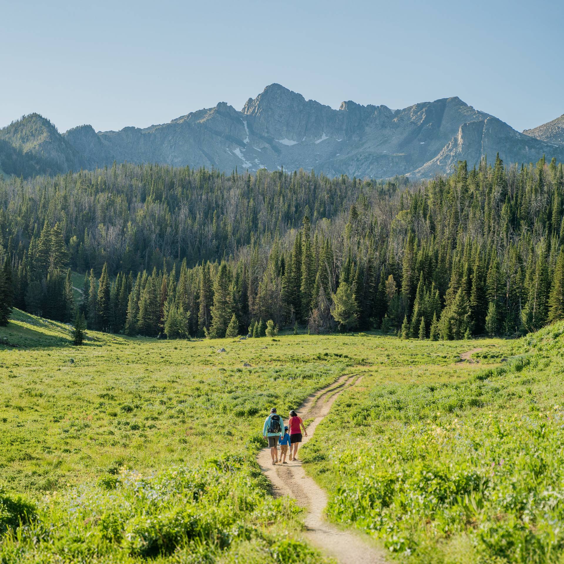 Two hikers walking down a path in the mountains