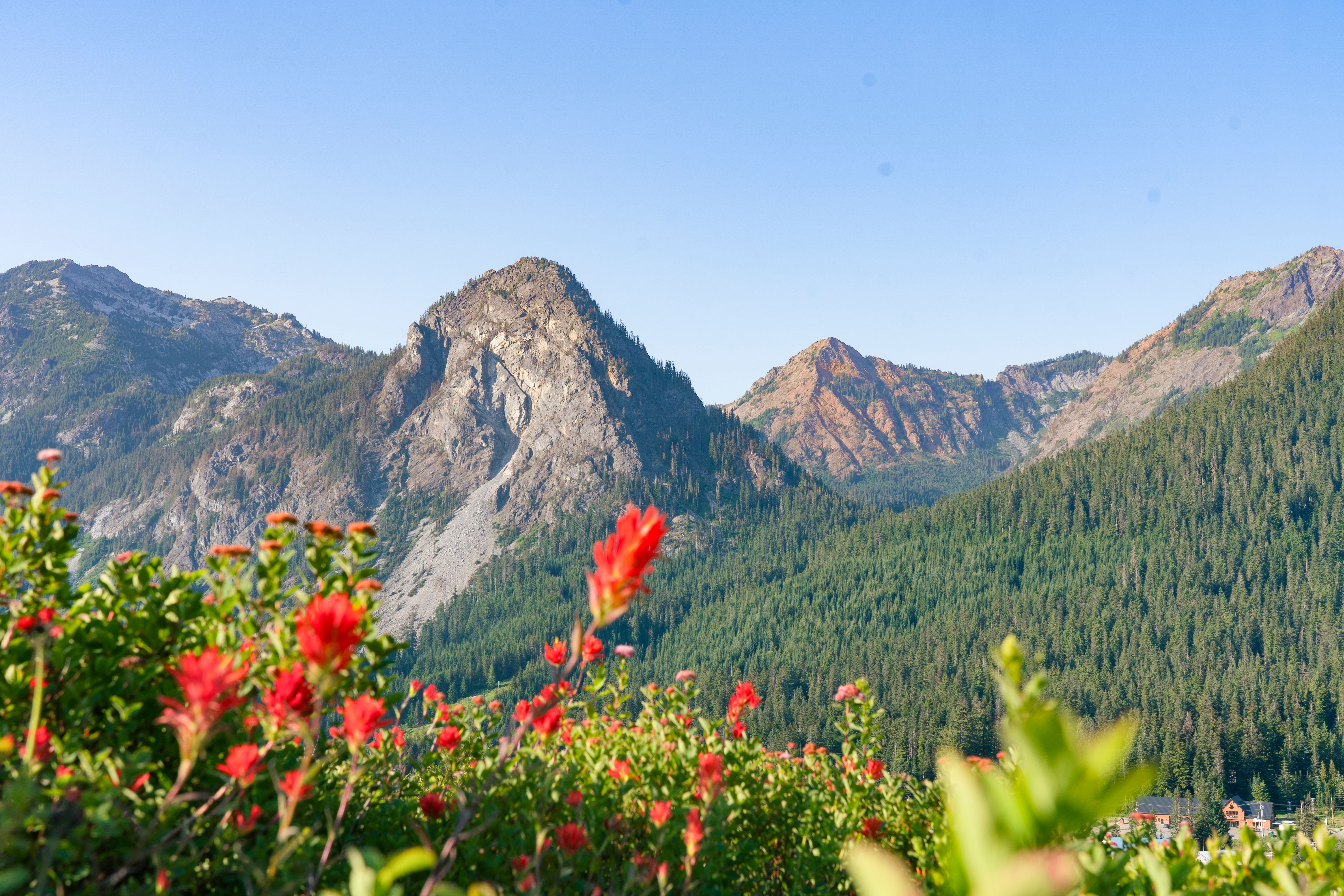 Unsplash Placeholder