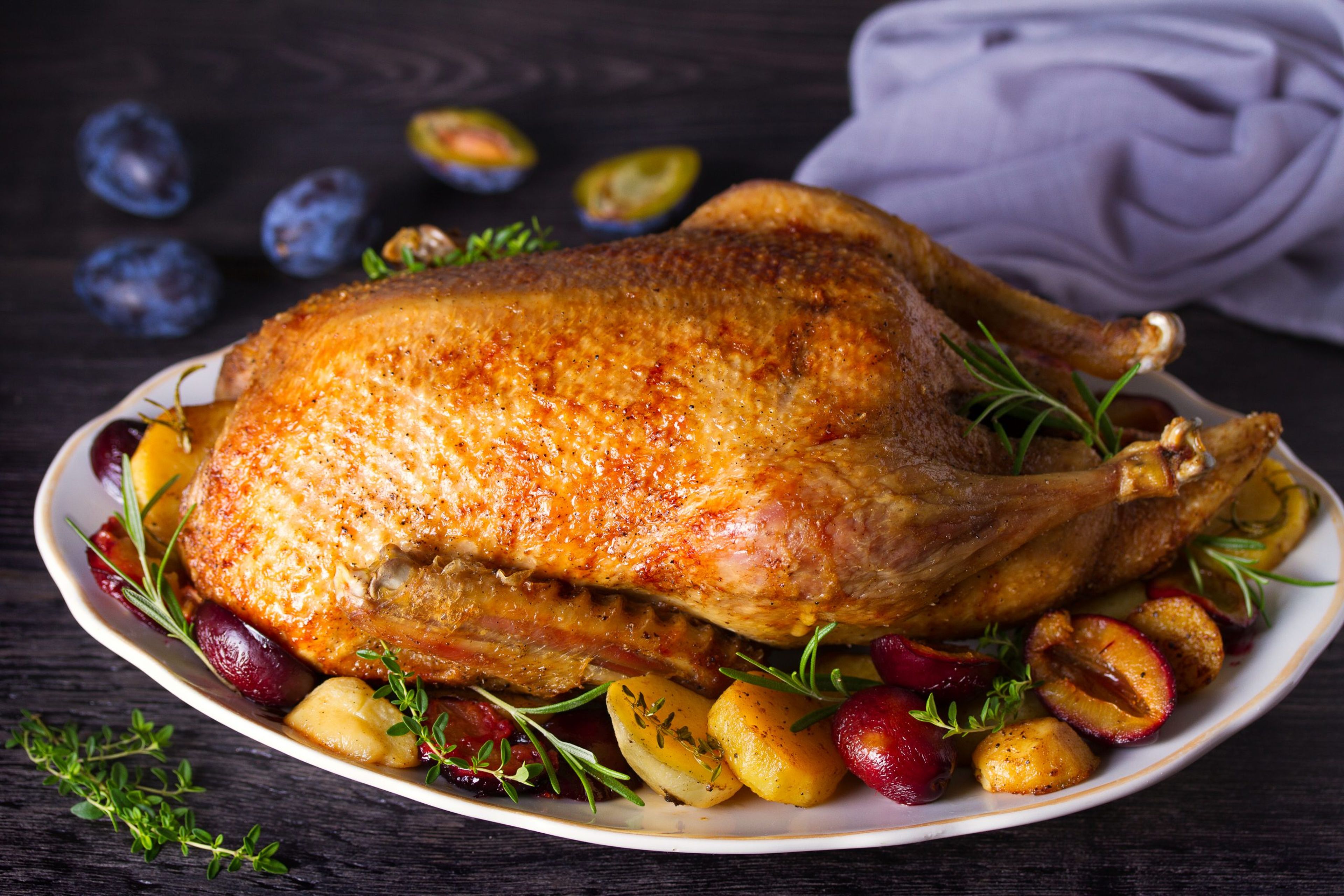 Gressingham Duck "Remarkable"