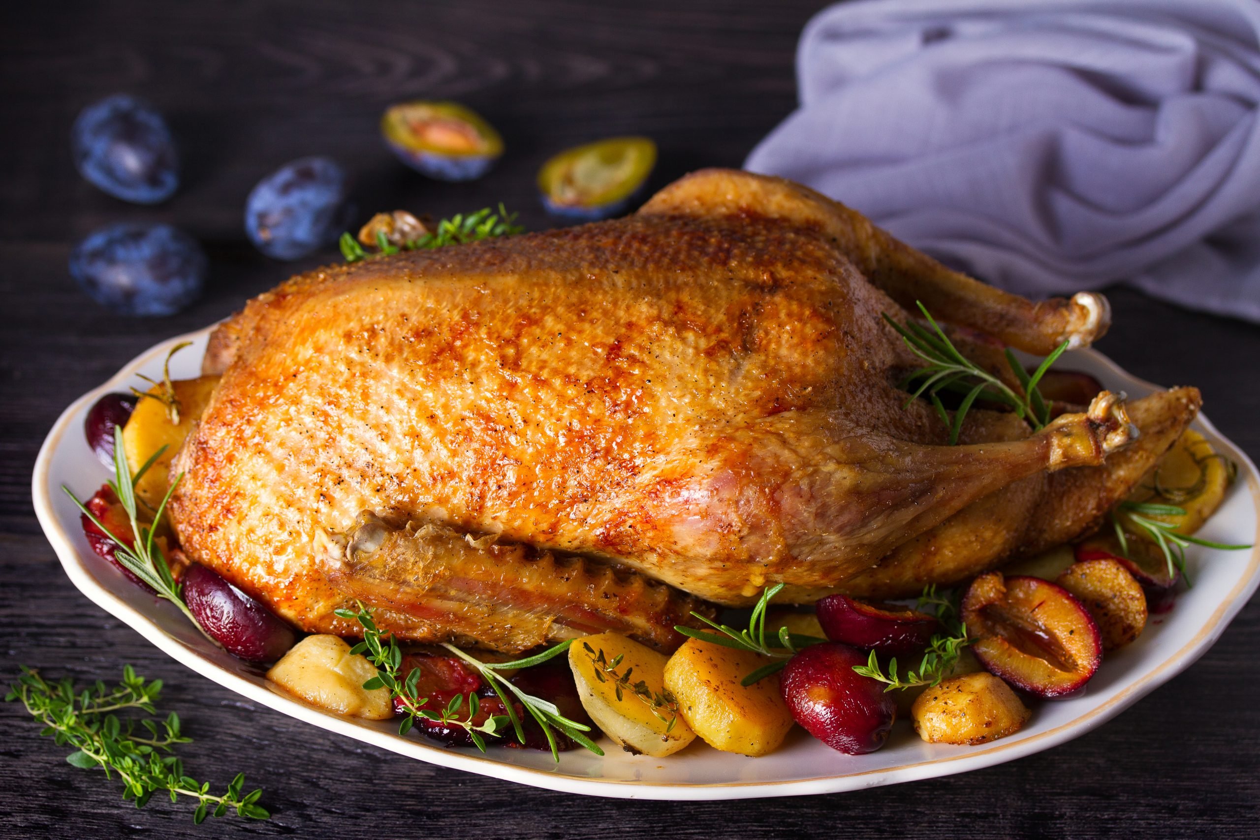 Gressingham Duck "Remarkable"