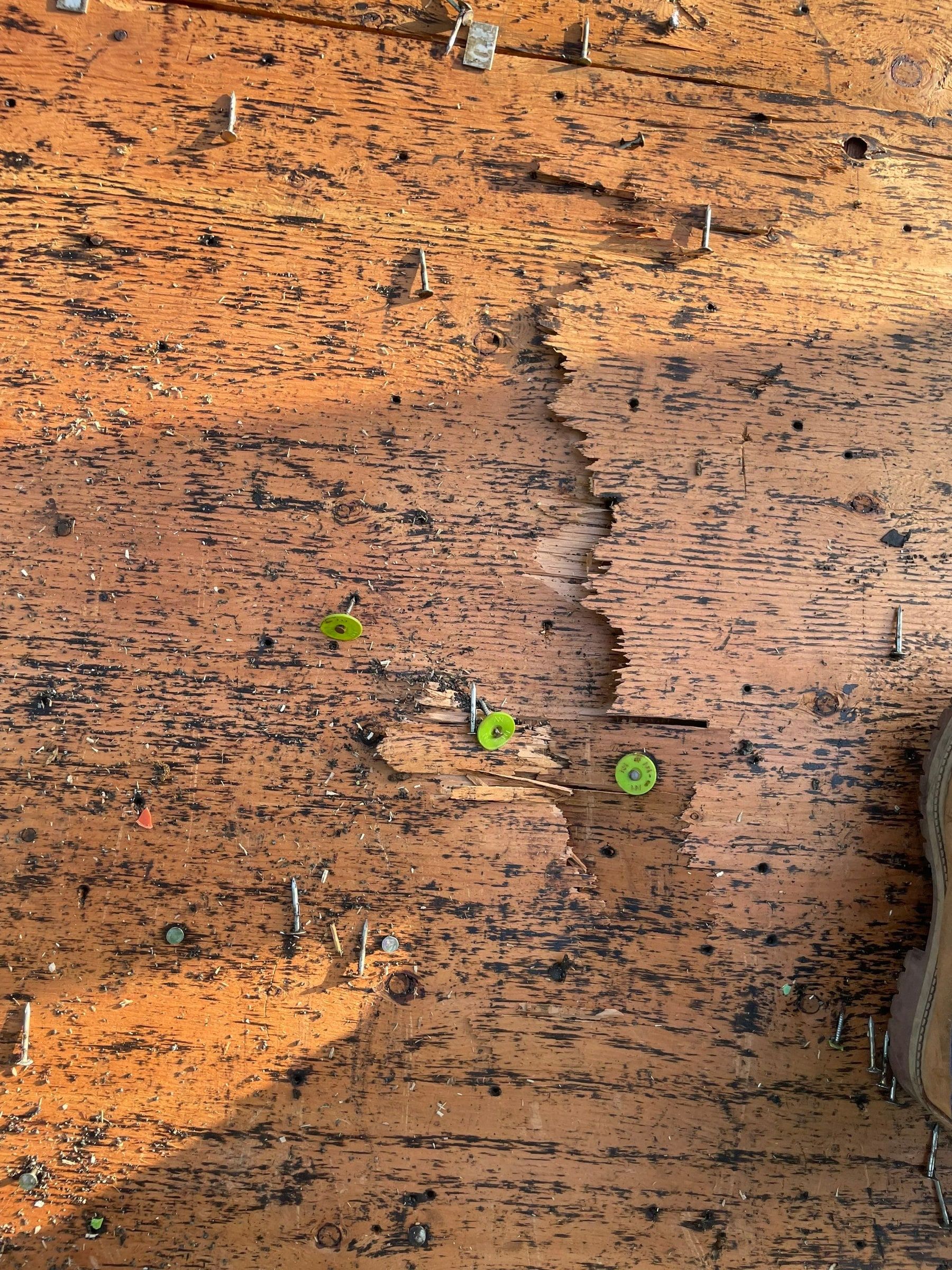 Split through the deck sheathing