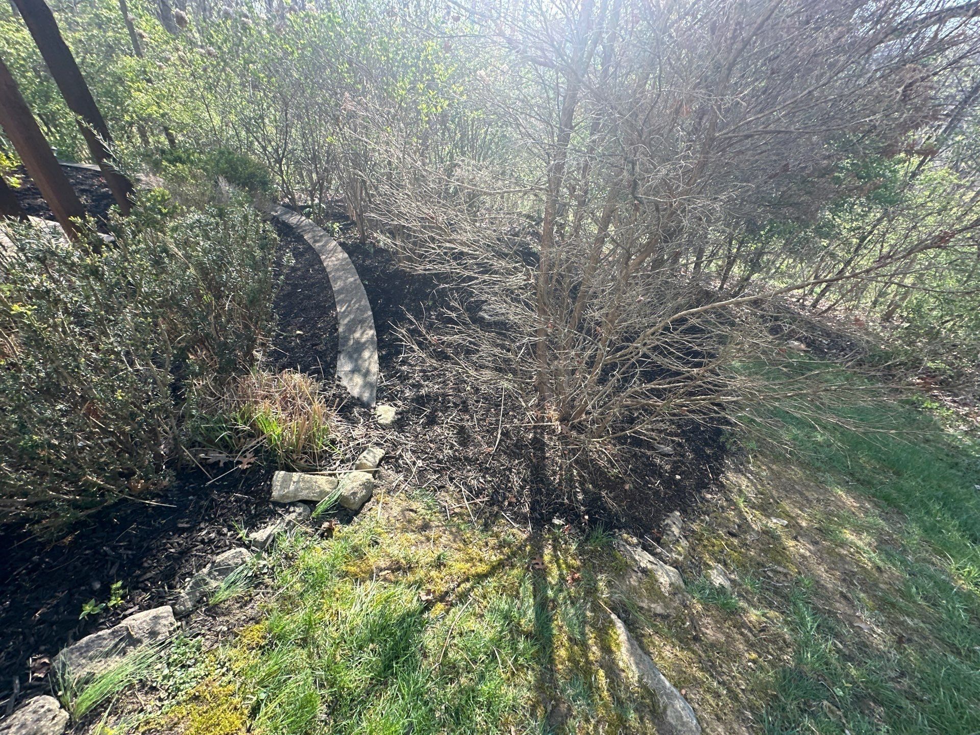 Mulched beds alongside the house