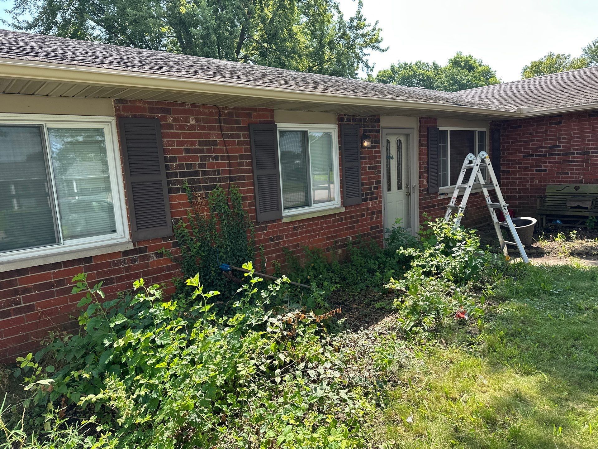 Front gutter and a set ladder