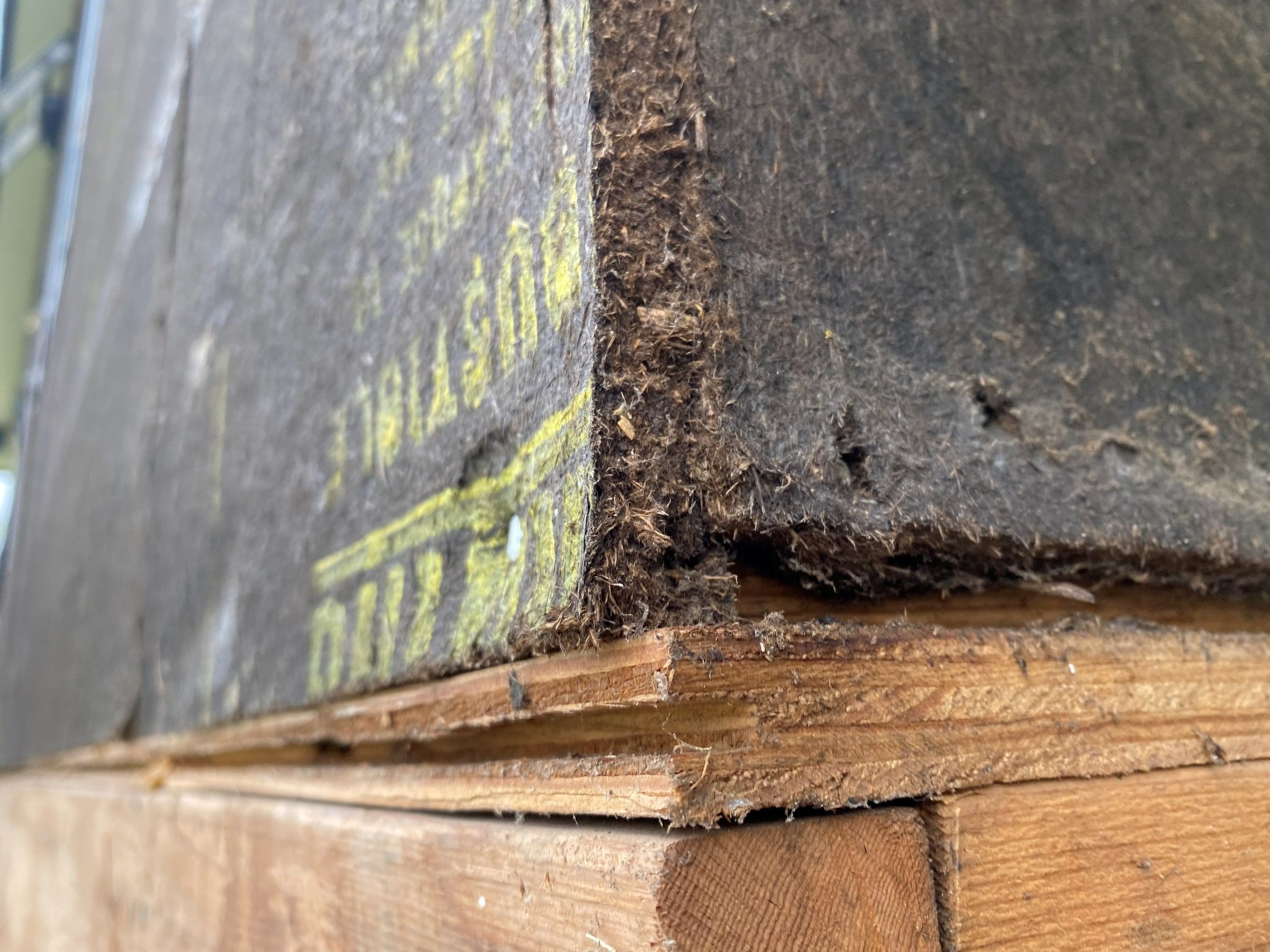 A crumbling edge of builder board at the bottom of the wall, close up, Beavercreek, Ohio.