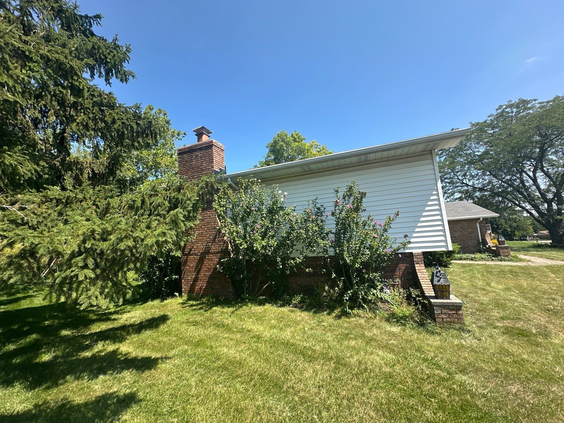 The chimney end of the house behind tall evergreen shrubs, West Carrollton, Ohio.