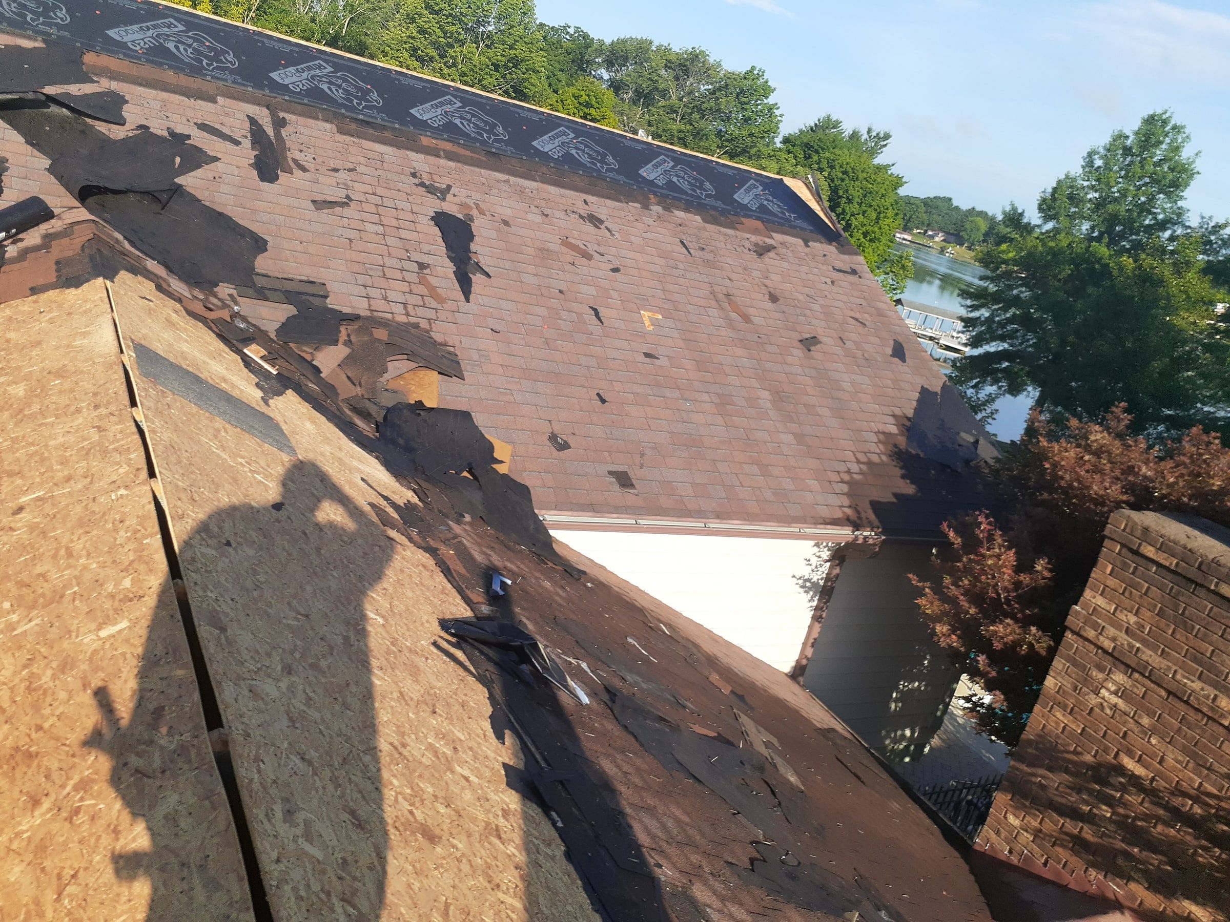 Old shingles coming off beside the chimney on the back slope, Jamestown, Ohio.