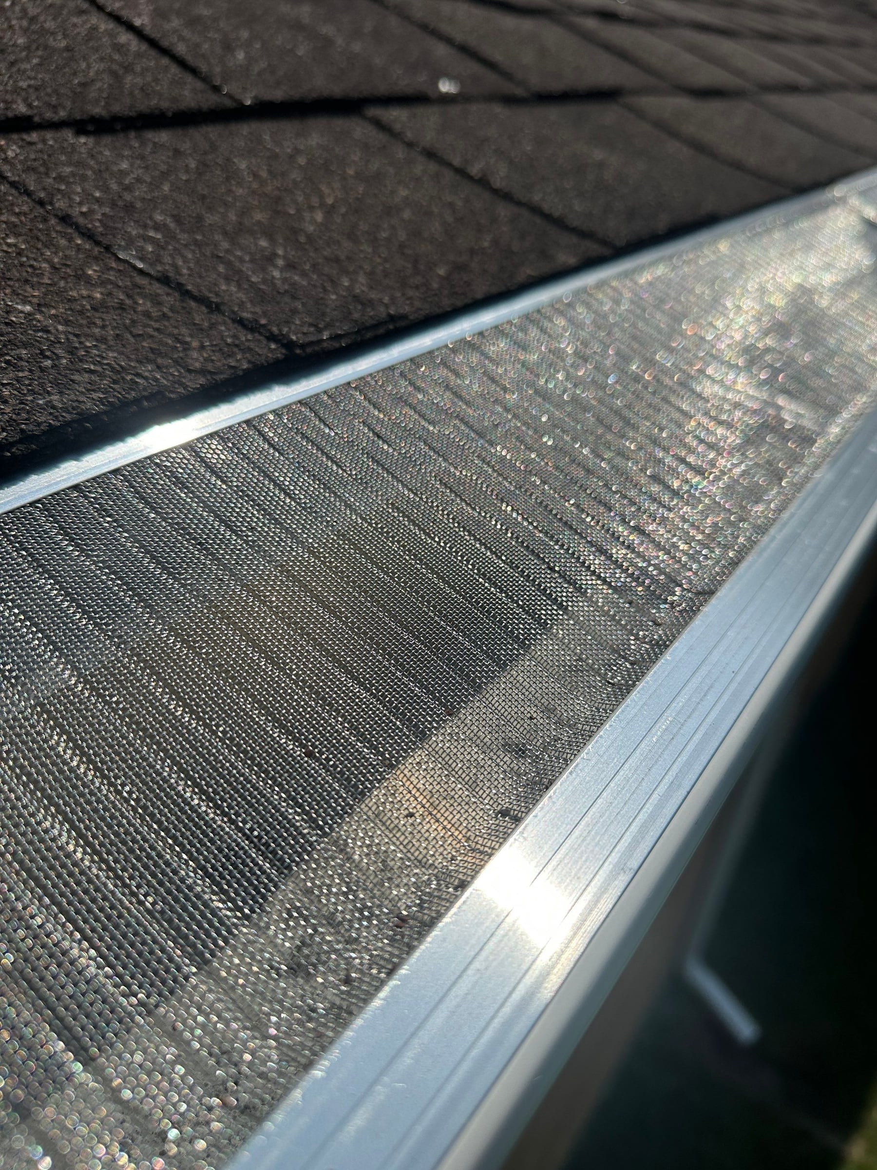Sunlight on the fine mesh of a gutter guard, close up, Kettering, Ohio.