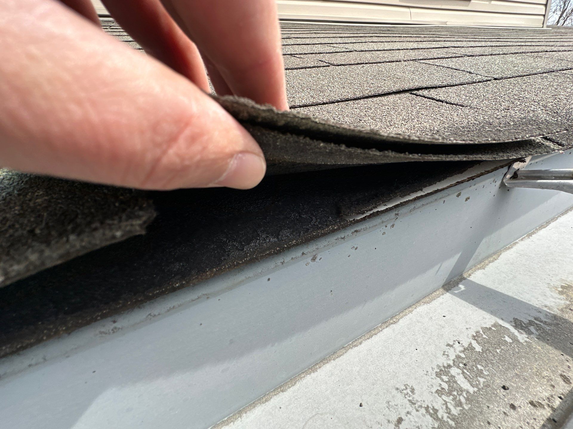 Shingle tab lifted clear at the eave