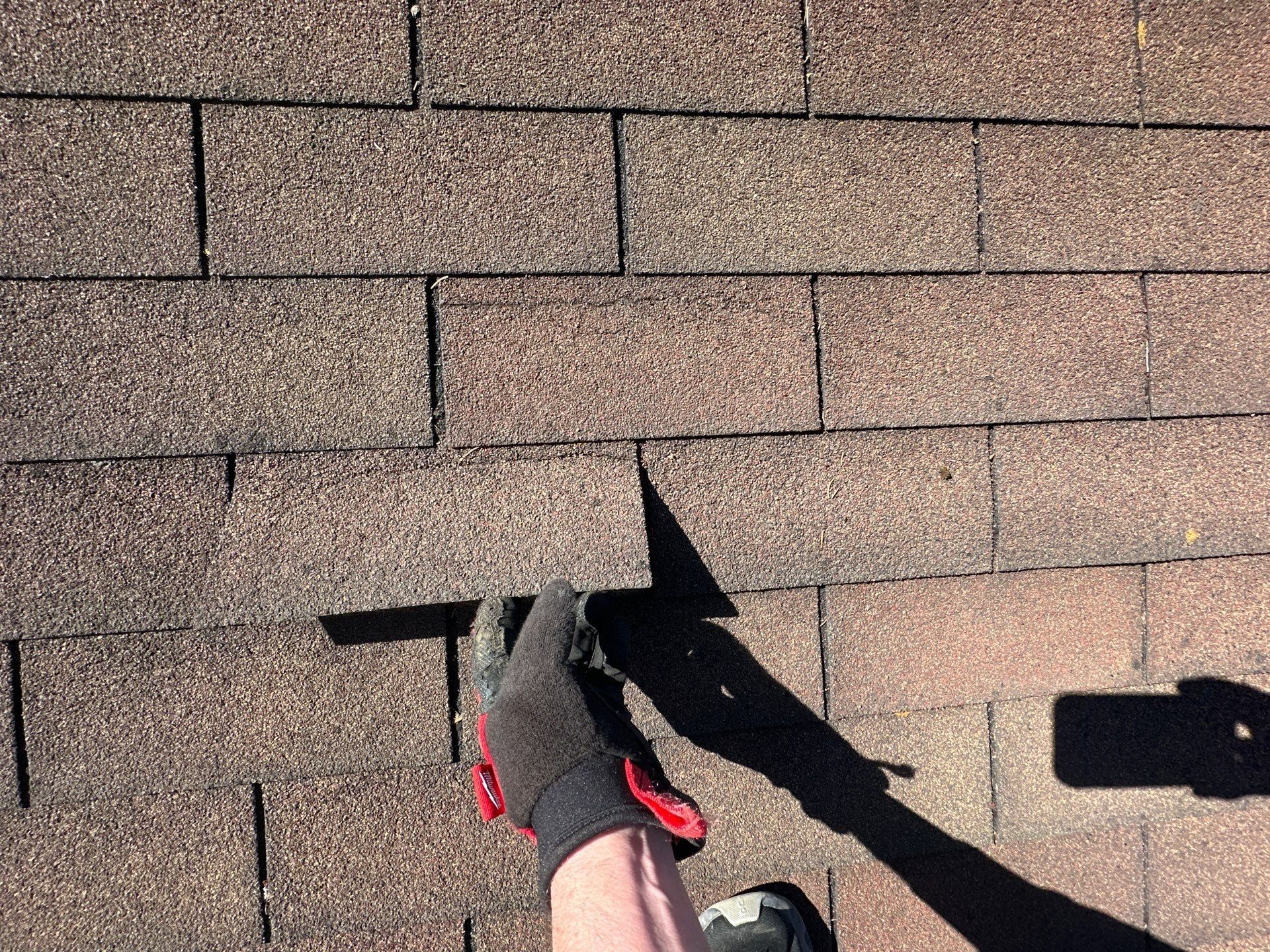 Creased shingle tab lifted by hand where the wind bent it back, Beavercreek, Ohio.