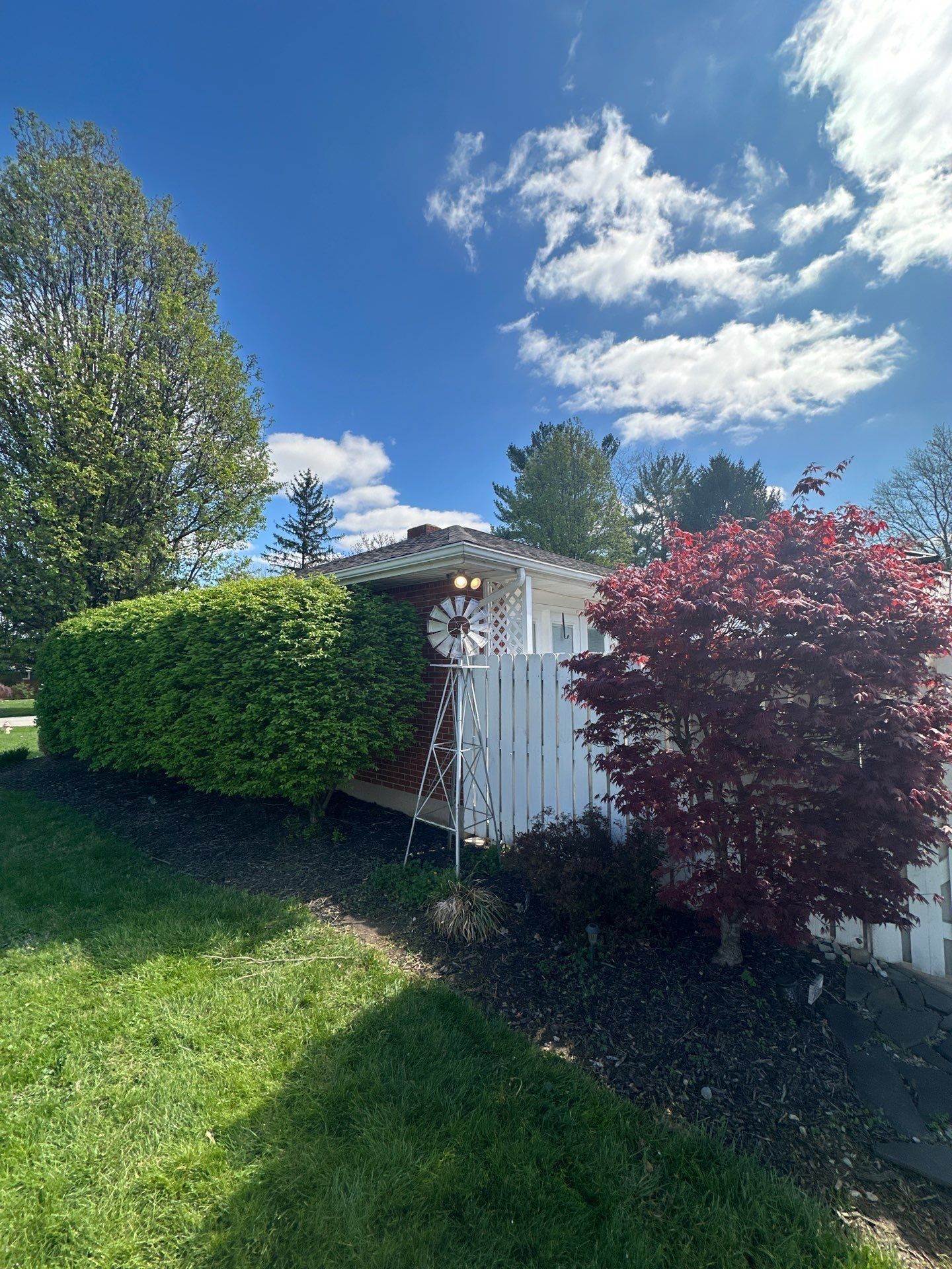 Rear elevation and cleared garden