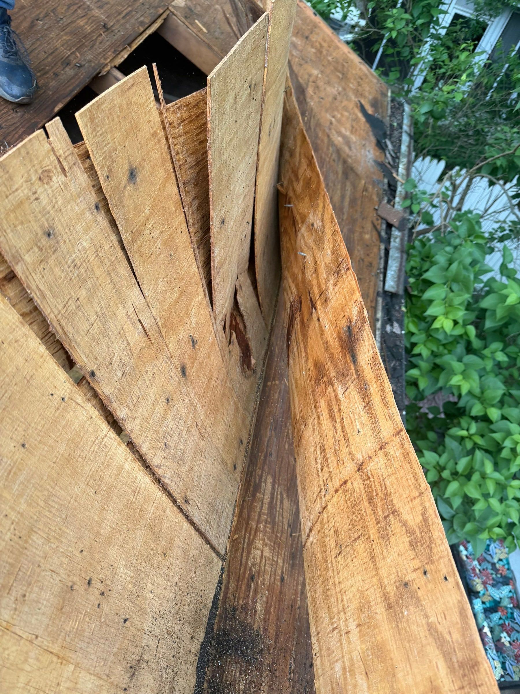 Old plywood sheathing splitting into thin layers as it comes off the roof, Dayton, Ohio.